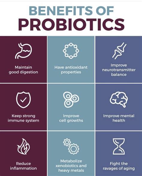 Mare Magix Probiotic: A Natural Alternative to Antibiotics